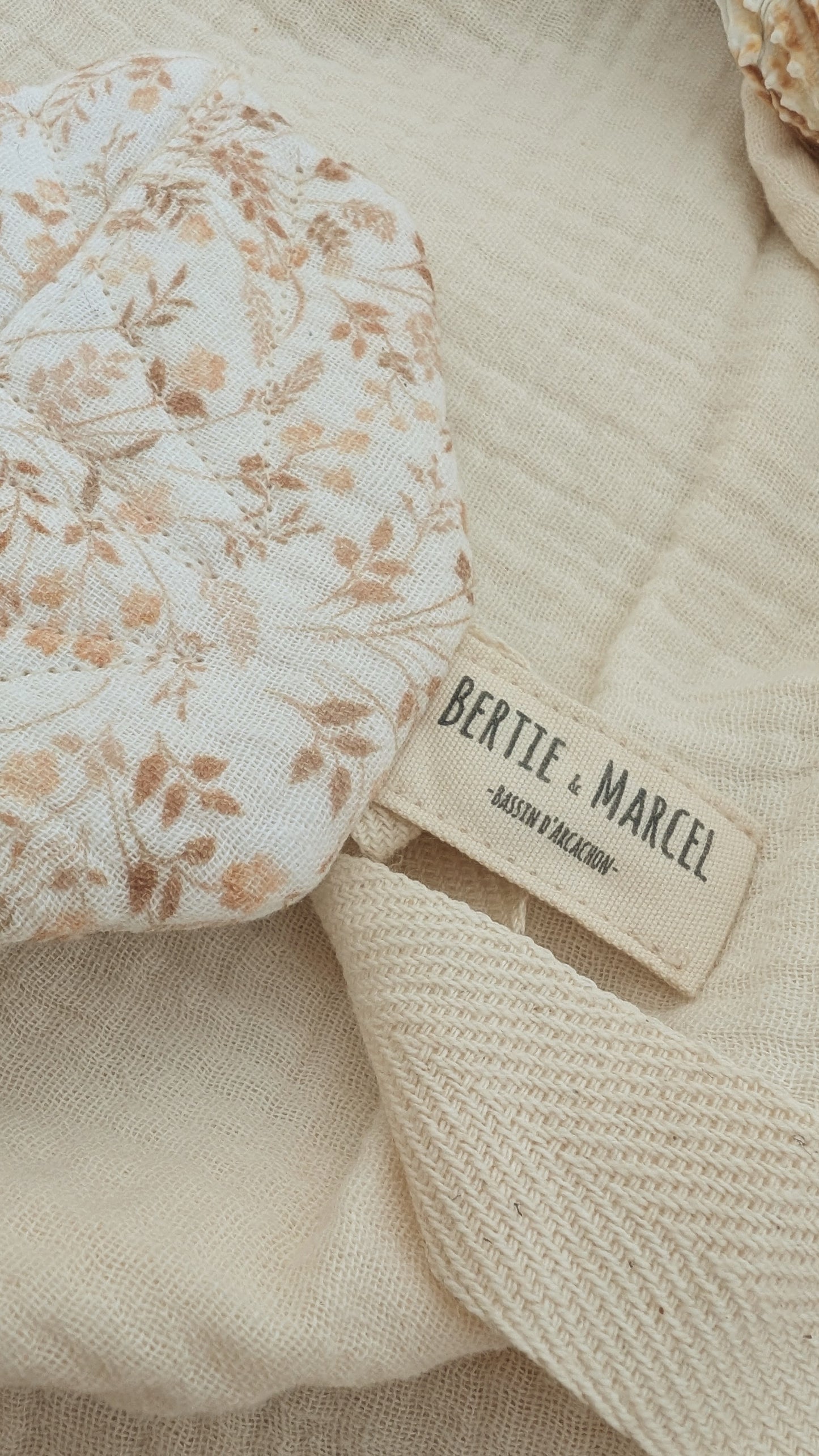 Attache tétine coquillage