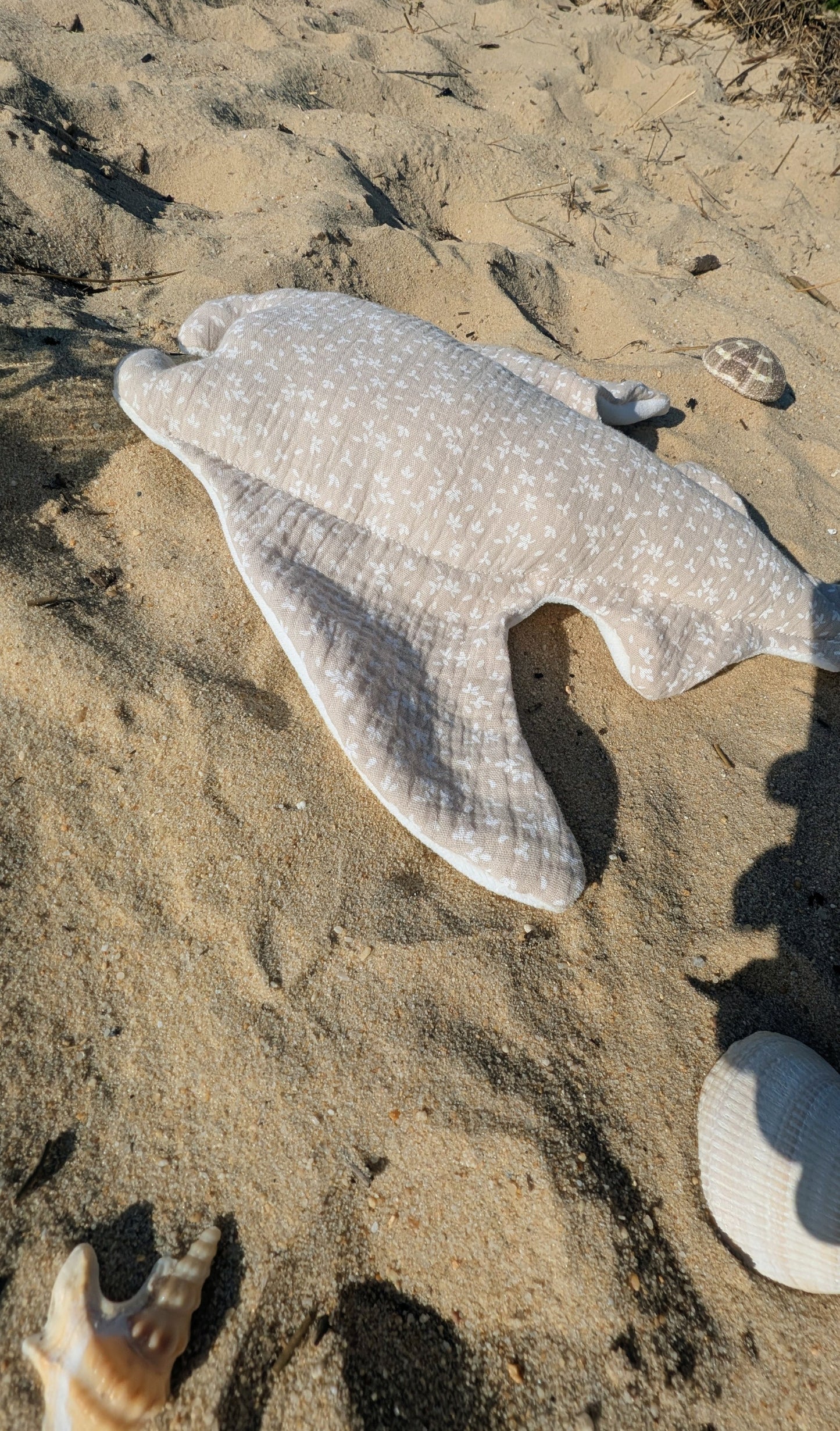 Camille la raie Manta