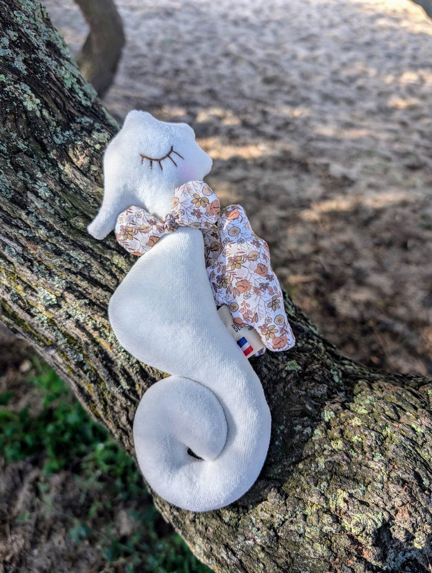 Hippocampe écru et Romy