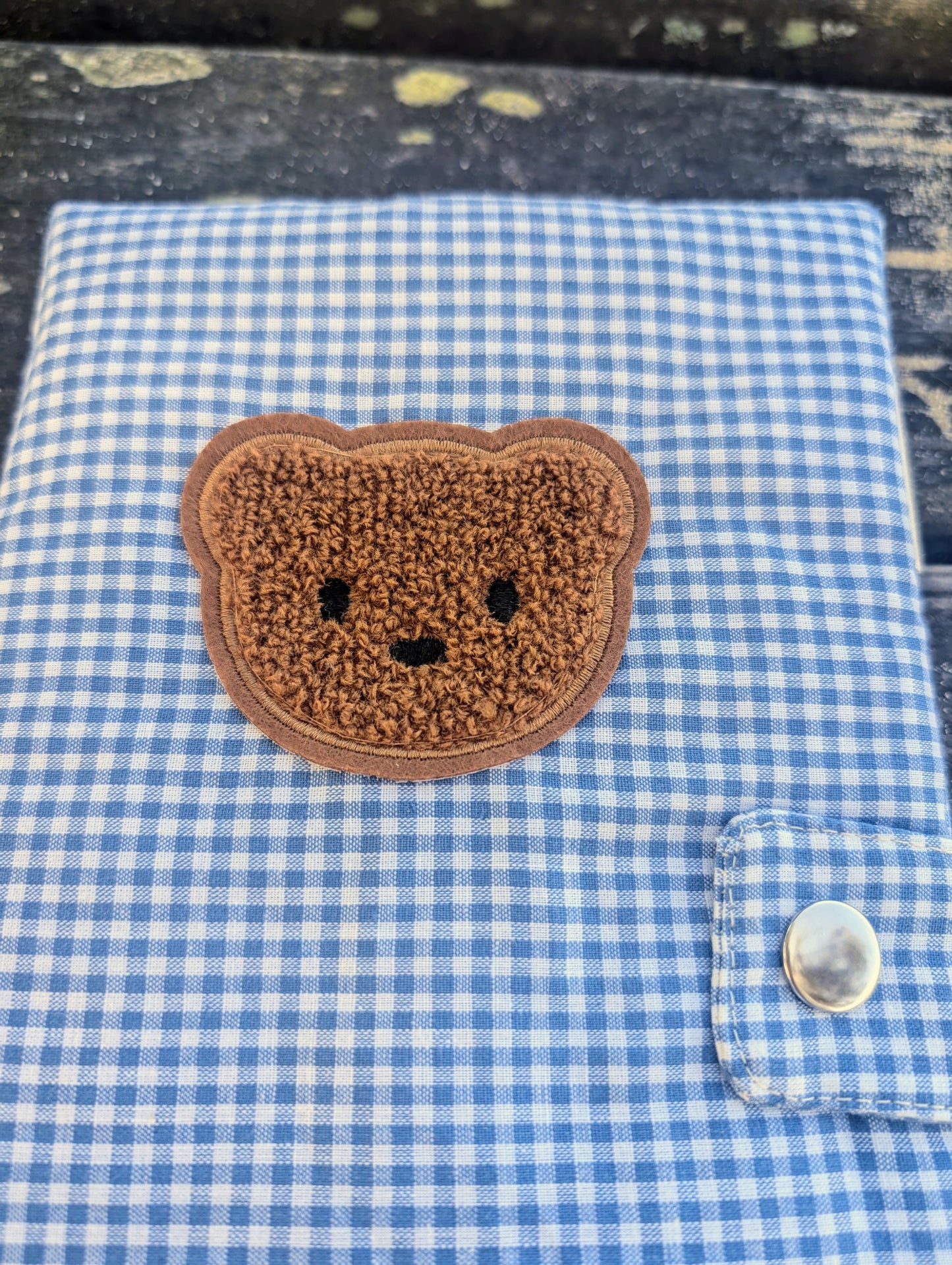 Mon carnet de santé Vichy ourson