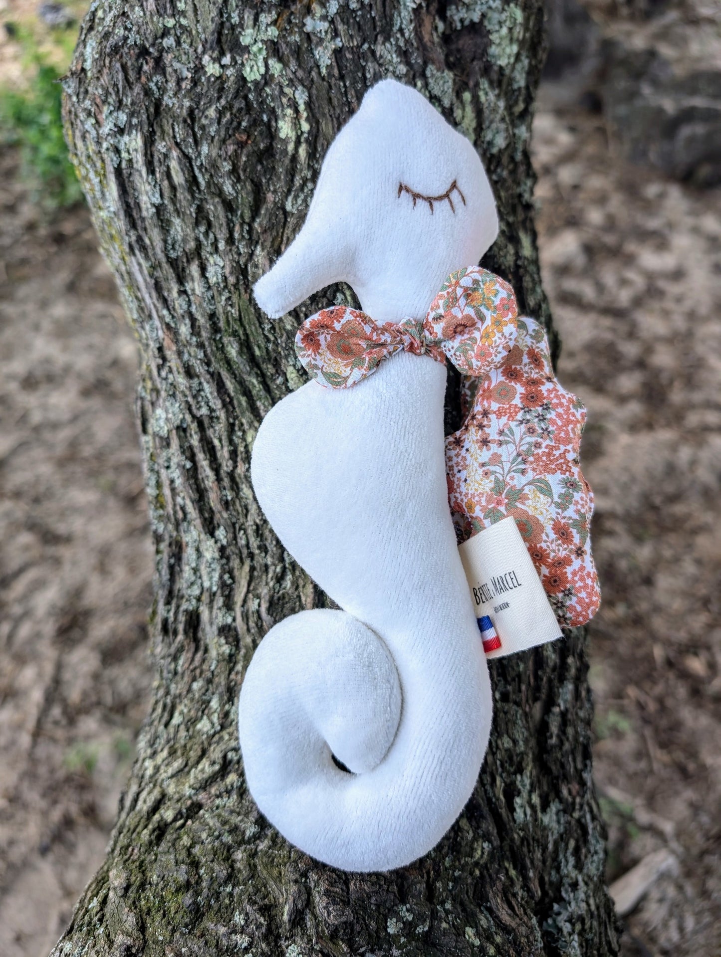 Hippocampe écru et Yvette