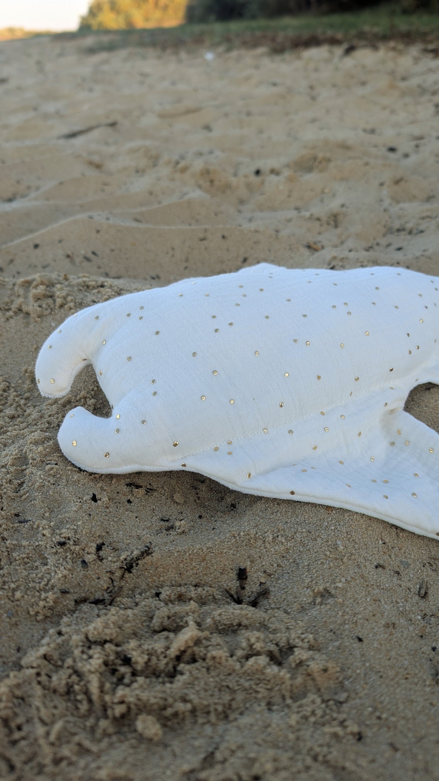 Camille la raie Mantas