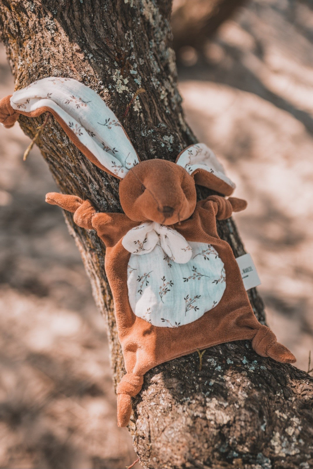 Le lapin